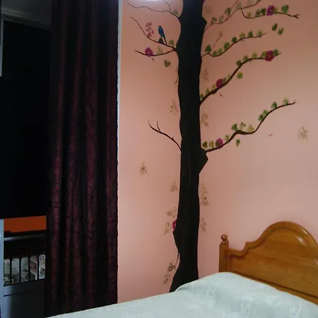 Azores Dream Hostal *