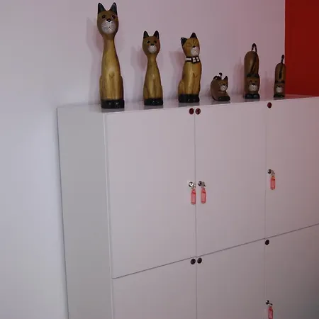 Albergue Azores Dream