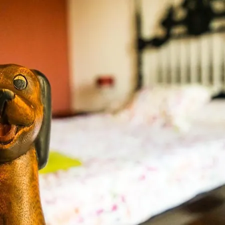 Azores Dream Albergue Ponta Delgada