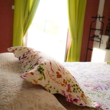 Albergue Azores Dream