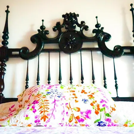 Azores Dream Hostal