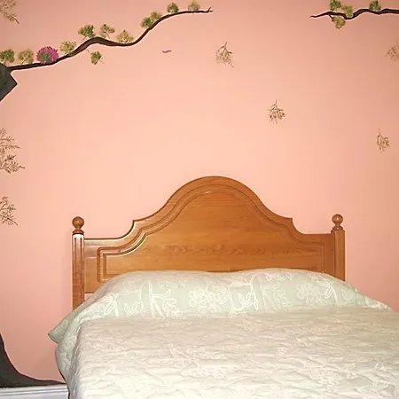 Azores Dream Auberge de jeunesse Ponta Delgada