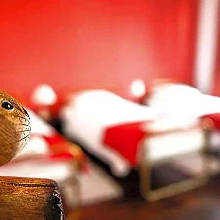 Azores Dream Auberge de jeunesse Ponta Delgada