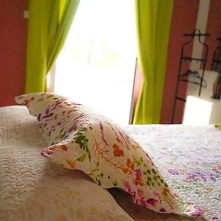 Azores Dream Auberge de jeunesse *